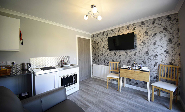 Thistle Dubh Dandy self catering accommodation contains a modern living room with kitchenette